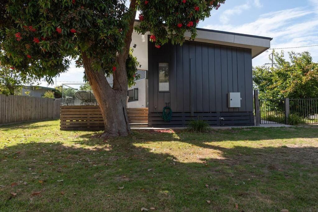 Flowering Gum House - Furry Friends Welcome Villa Anglesea Buitenkant foto